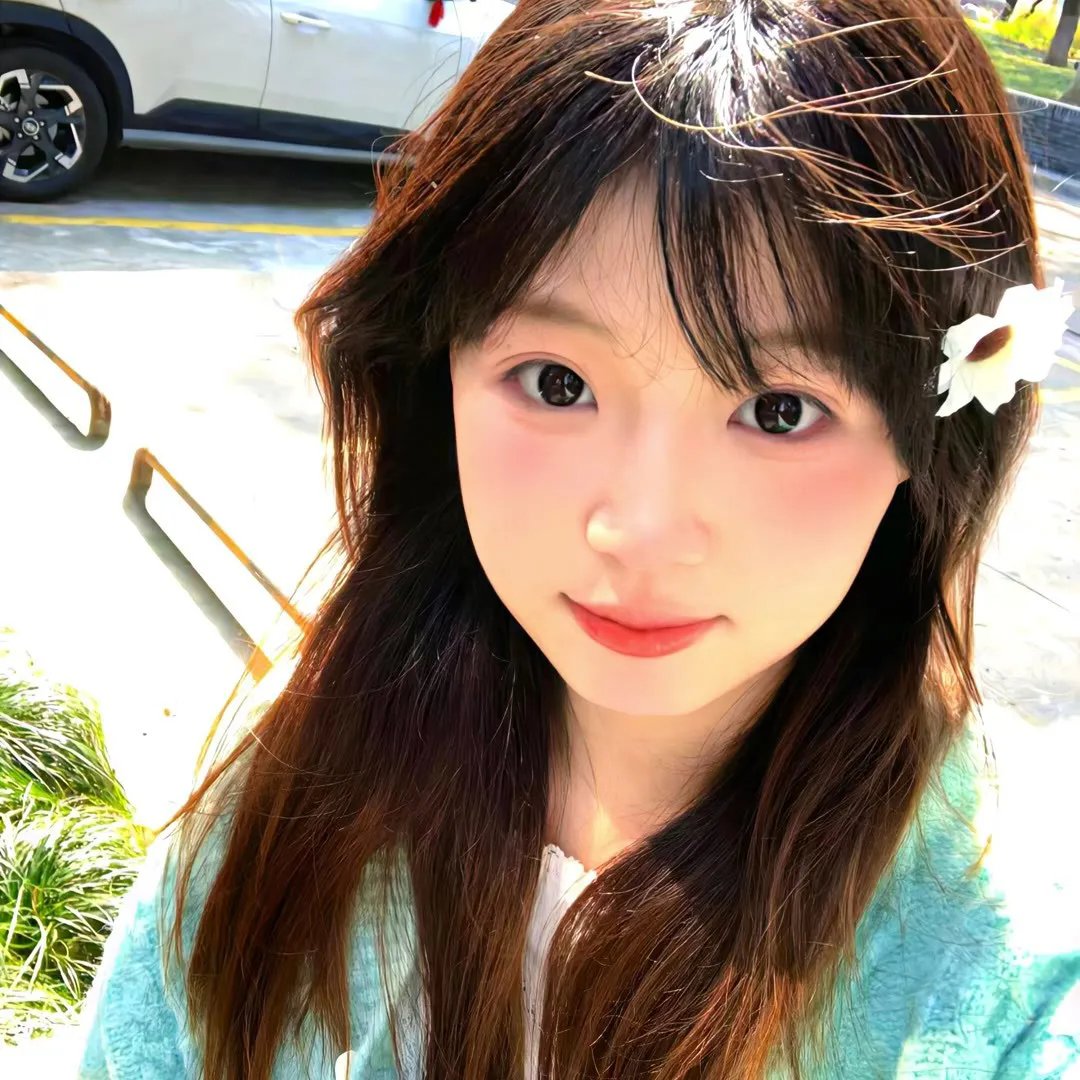 长毛狗 封面
